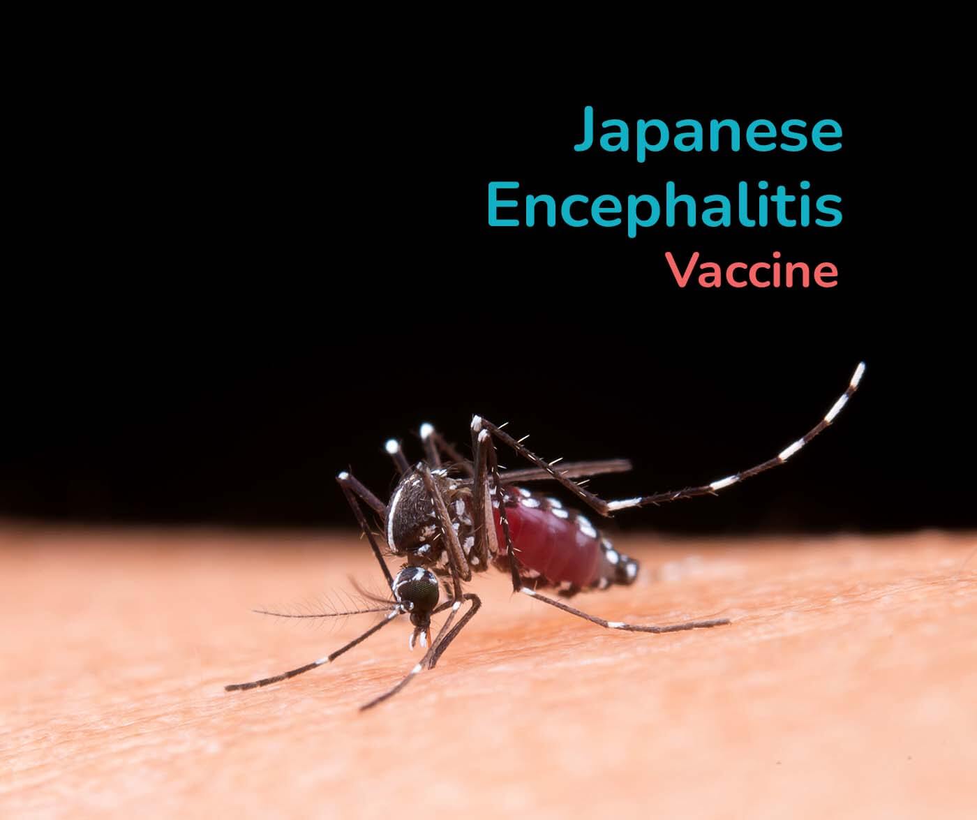 Japanese Encephalitis vaccination great barr birmingham