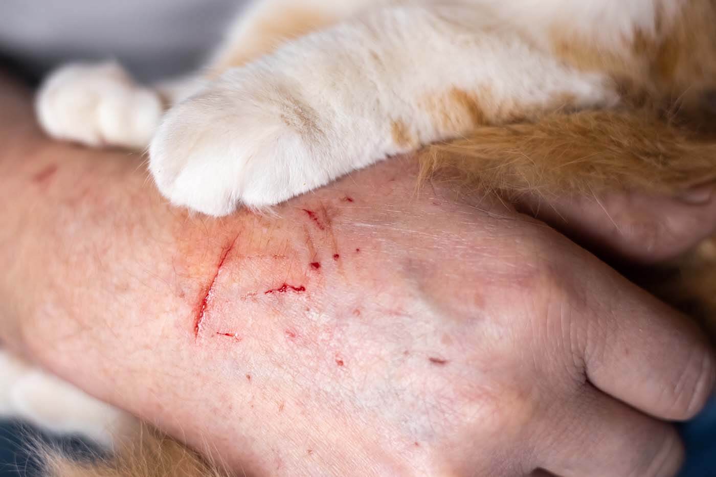 rabies vaccination near me great barr