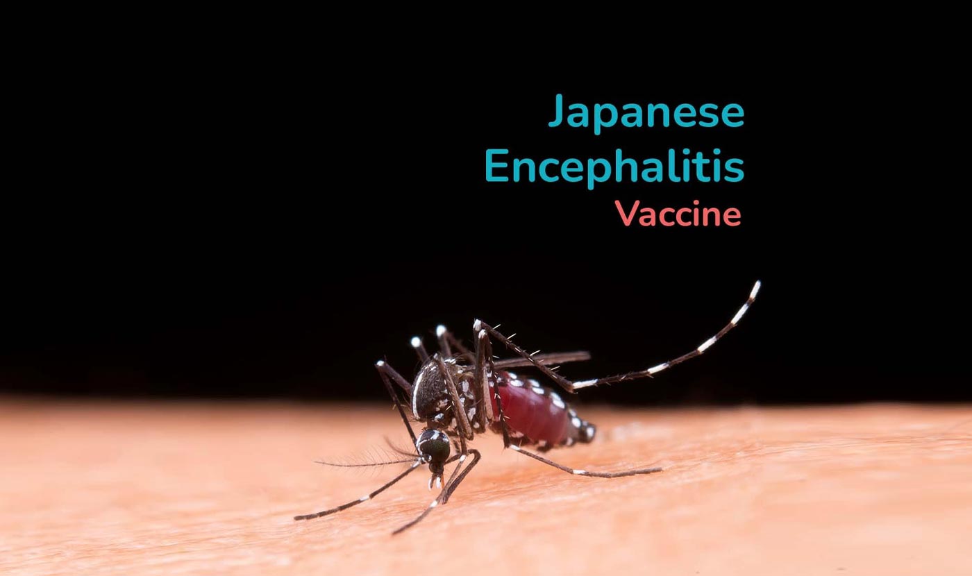 Japanese Encephalitis vaccination great barr bham