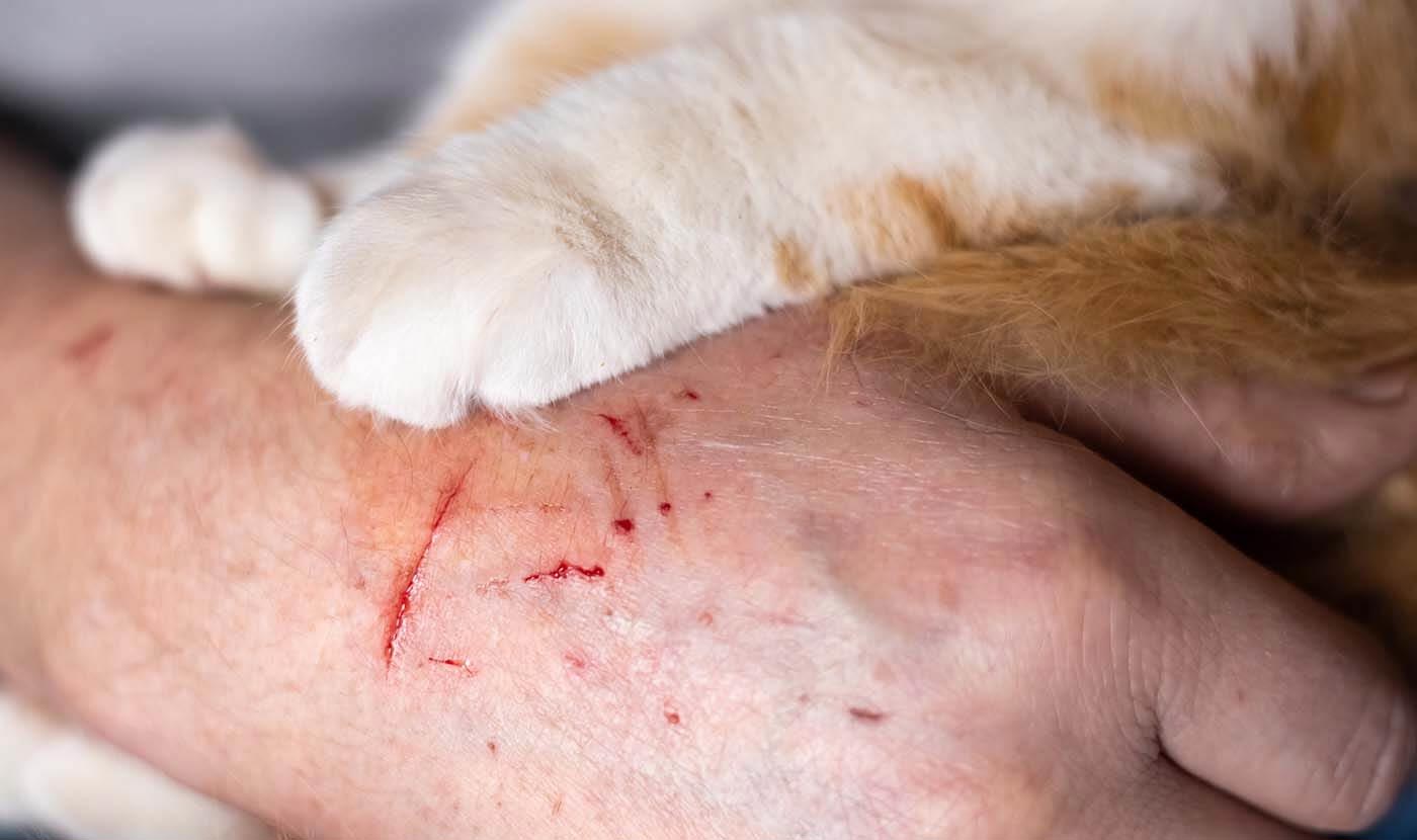 rabies vaccination near me great barr