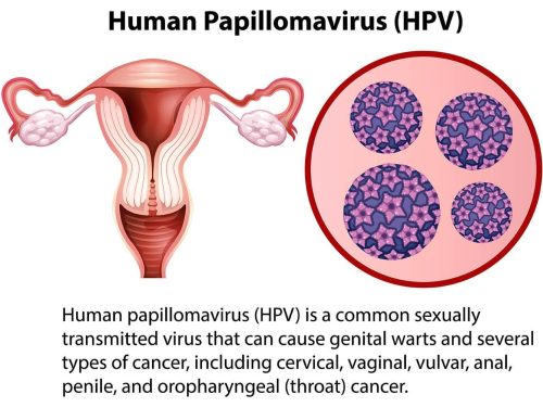 hpv vaccine great barr private