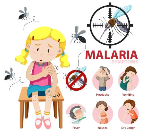 malaria vaccine great barr